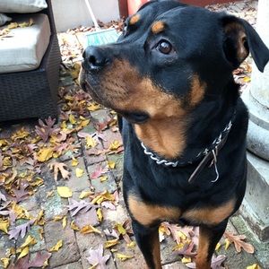 Meet your Posher, Anna